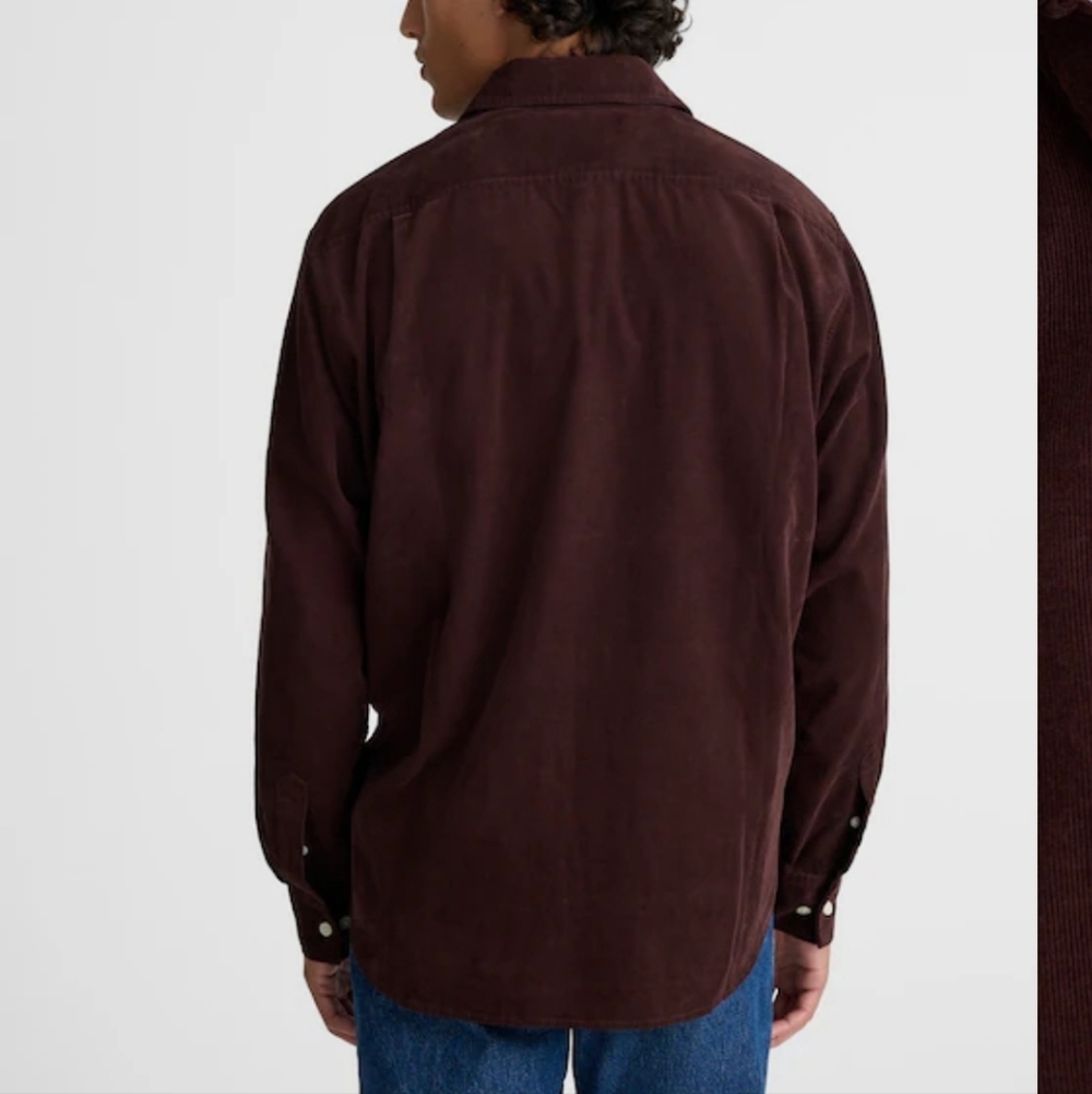 Madewell Button-Up Shirt in Fine-Wale Corduroy NY110 NWT Size L Chocolate Raisin - Picture 2 of 6